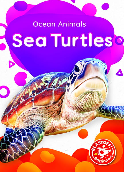 Sea Turtles
