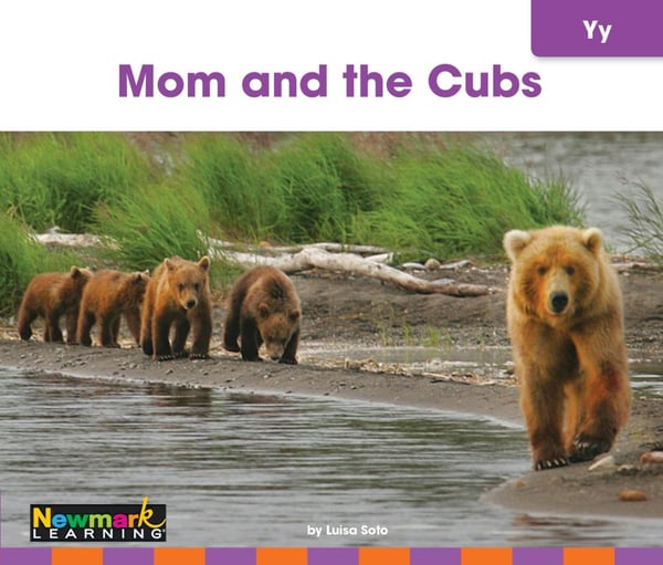 Mom And The Cubs