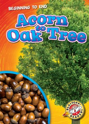 Acorn To Oak Tree