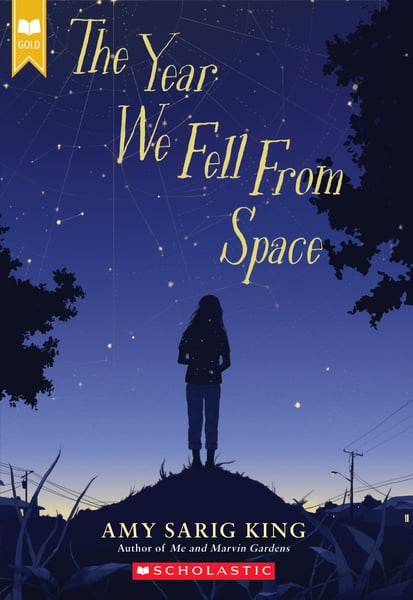 Year We Fell From Space, The