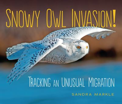 Snowy Owl Invasion! Tracking An Unusual Migration
