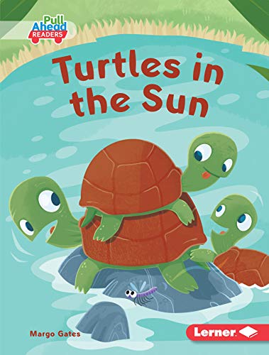 Turtles In The Sun
