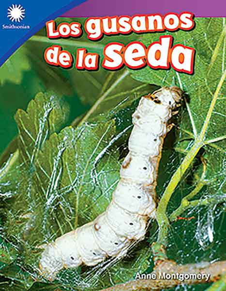 Los Gusanos De La Seda (Raising Silkworms)