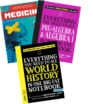 Knowledge Building Grade 8