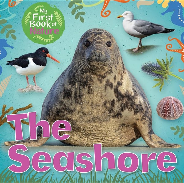 Seashore, The