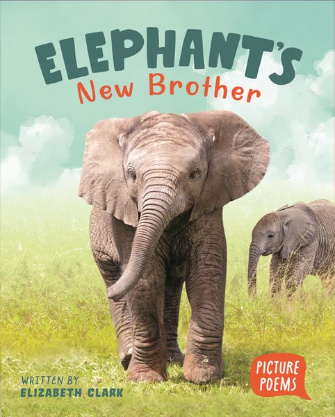 Elephant's New Brother