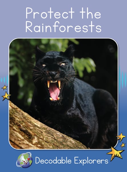 Protect The Rainforests
