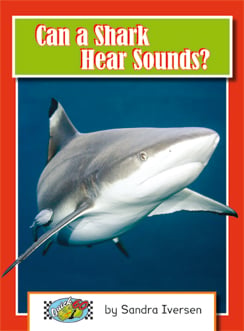 Can A Shark Hear Sounds?
