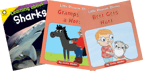 Phonics R-controlled Vowels
