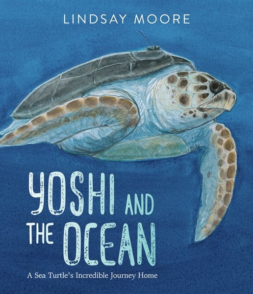 Yoshi And The Ocean