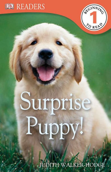 Surprise Puppy!
