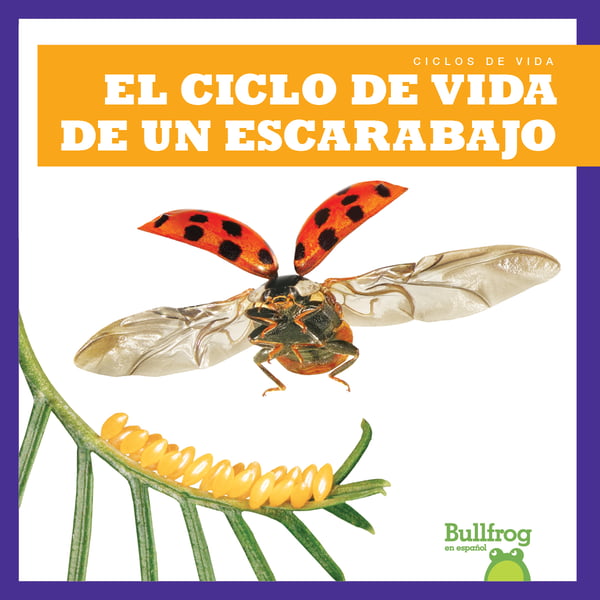 El Ciclo De Vida De Un Escarabajo (A Beetle's Life Cycle)