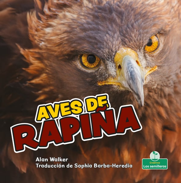 Aves De Rapina (Birds Of Prey)