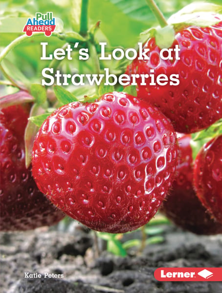 Let's Look At Strawberries
