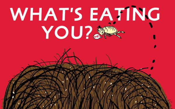 What's Eating You?