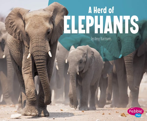 Herd Of Elephants, A