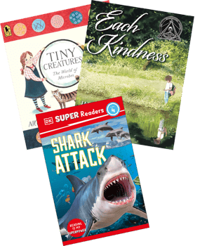 Jen Serravallo's Go To Books For Reading Grade 4