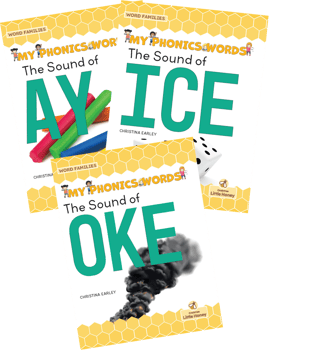 My Phonics Words: Word Families