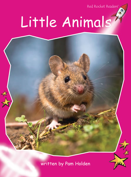 Little Animals