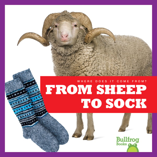 From Sheep To Sock