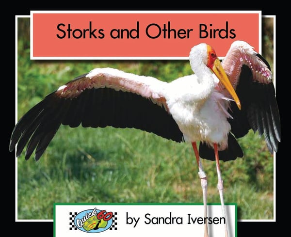 Storks And Other Birds