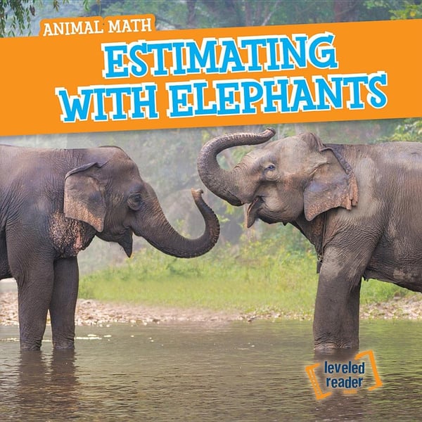 Estimating With Elephants