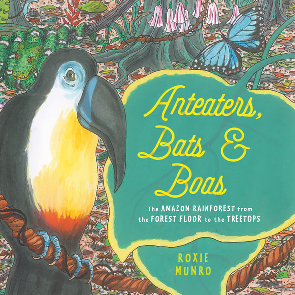Anteaters, Bats & Boas: The Amazon Rainforest From The Forest Floor To The Treetops