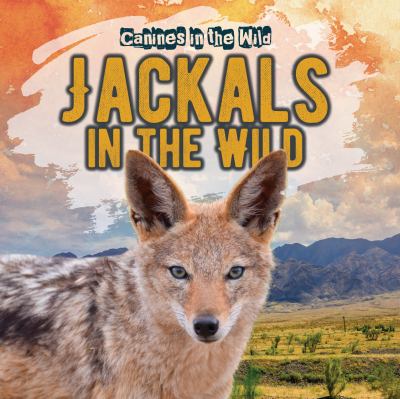 Jackals In The Wild