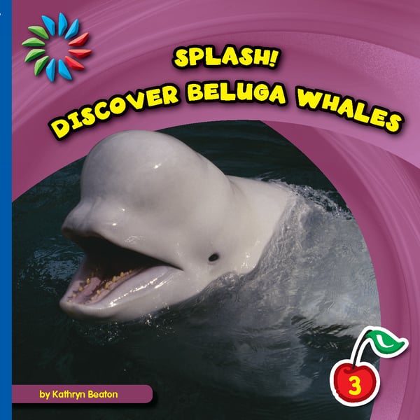 Splash! Discover Beluga Whales