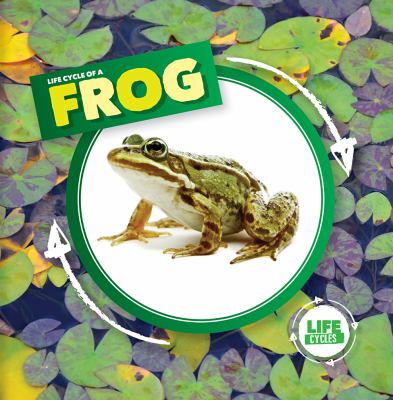 Life Cycle Of A Frog