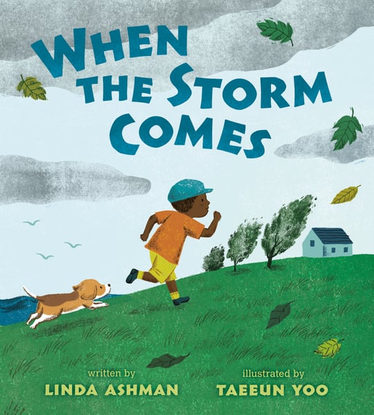 When The Storm Comes