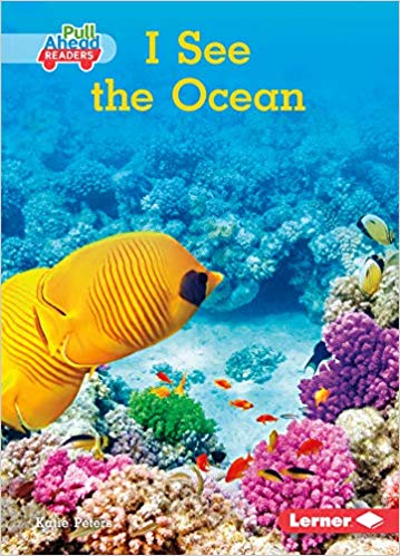 I See The Ocean