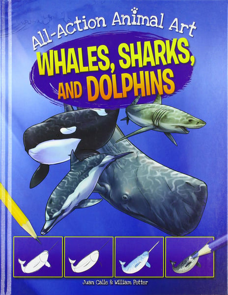 Whales, Sharks, And Dolphins