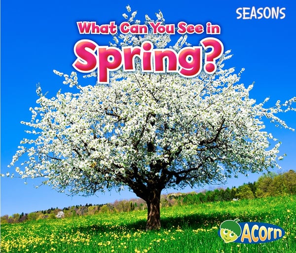 What Can You See In Spring?