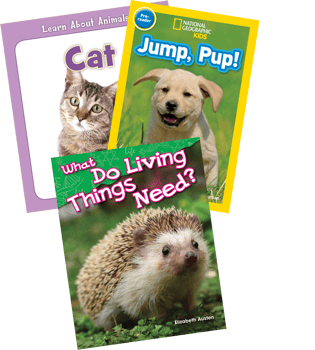 Bestsellers Intervention Lexile Level Grades 4-5 (BR90L-180L)