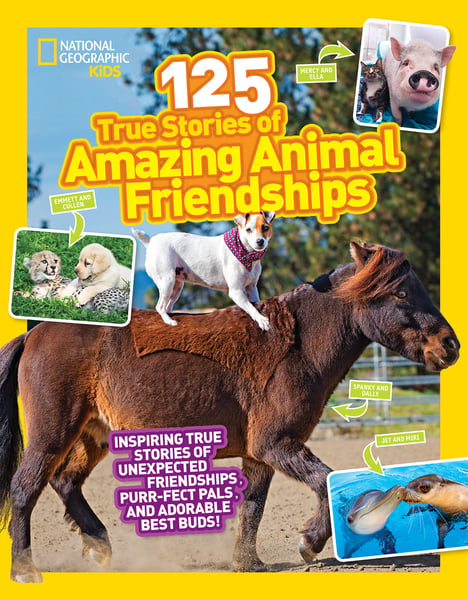 125 True Stories Of Amazing Animal Friendships