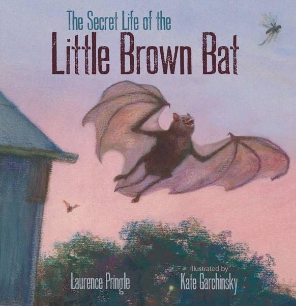 Secret Life Of The Little Brown Bat, The