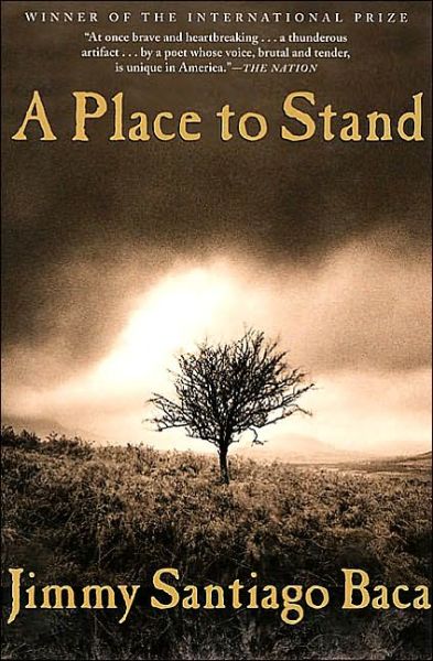 Place To Stand, A