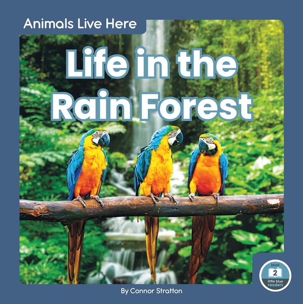 Life In The Rain Forest
