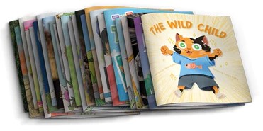 Building Up Phonics Storybooks Set 2 (24 Books)