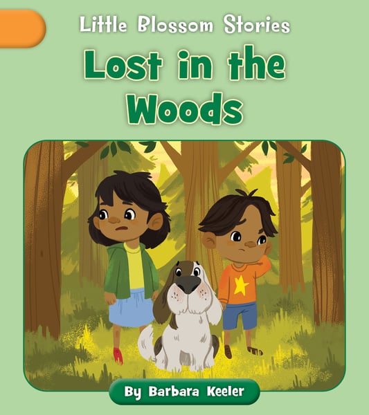 Lost In The Woods