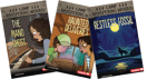 Phonics Fun Chapter Books: Camp Whispering Woods
