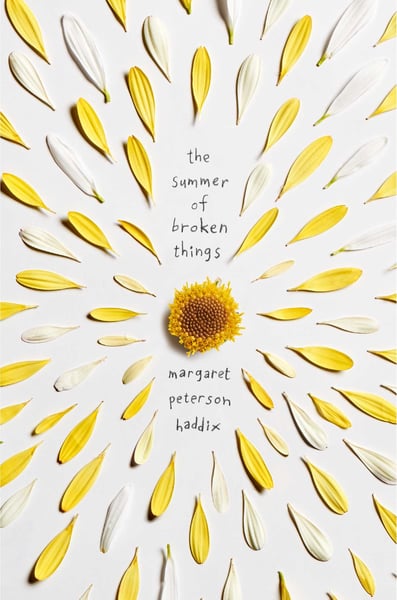 Summer Of Broken Things, The