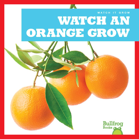 Watch An Orange Grow