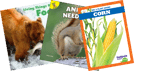 NGSS Kindergarten From Molecules To Organisms