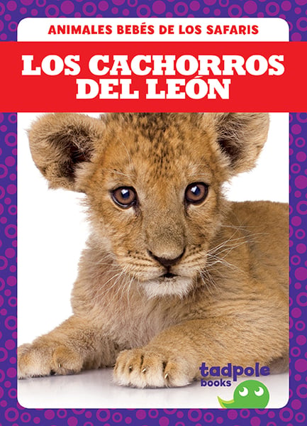 Los Cachorros Del Leon (Lion Cubs)