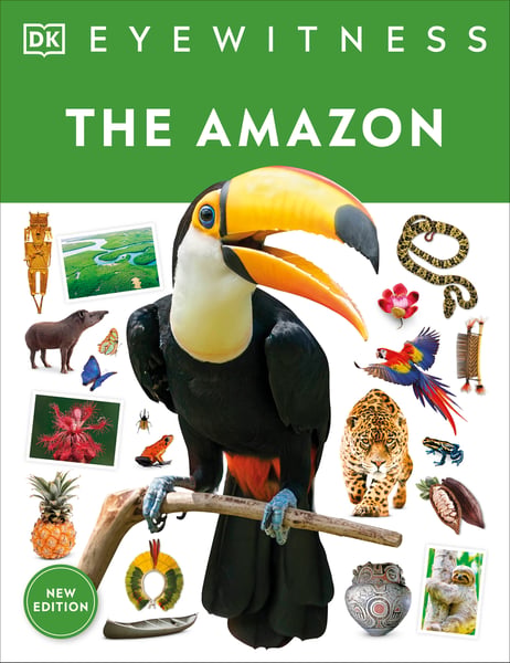 Amazon, The