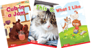 Decodable Books: Read & Succeed Kindergarten