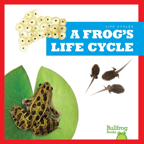 Frog's Life Cycle, A