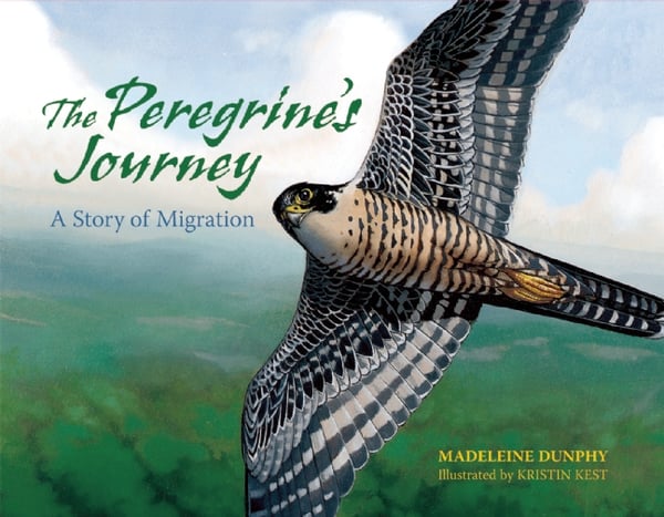 Peregrine's Journey: A Story Of Migration, The
